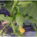 삼기농협 이미지