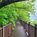 교방동131 이미지