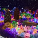 별빛목장 이미지