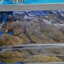 믿음수산 이미지