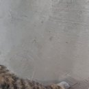 다희네민박 이미지