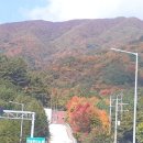 우분투민박 이미지