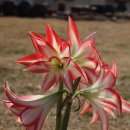 스플래쉬 이미지