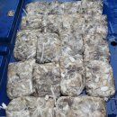 쭈꾸미스타 이미지