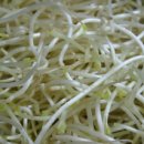 불타는쭈꾸미 이미지