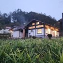 스테이구들 이미지