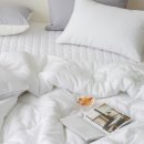 코코환경 이미지