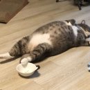 남부순환로226길 이미지