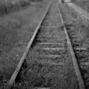 영회농장 이미지