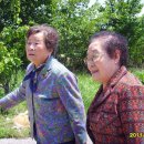 박실농장 이미지