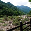 장령산자연휴양림 이미지