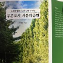 안래홍 | 선유도공원의 색비름, 안래홍雁來紅