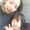 도유니버스