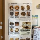 너스베이글 | 동탄 핫플 베이글 맛집 현스베이글스퀘어 후기, 뉴욕스타일 베이글 전문점