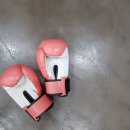 브로스복싱짐 이미지