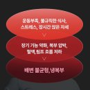 주식회사 더감에프비 | 복부마사지기 추천, 자이글 온 셀 375 언박싱부터 첫 착용까지 솔직후기