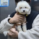 시청지하철역 7번 출구 맞은편 이미지