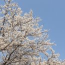 함성(함께 읽고 성장하는) 독서토론 이미지