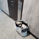 백마세탁 이미지