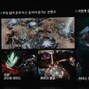 와우코리아투어앤컴퍼니 이미지