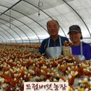 현석농장 이미지