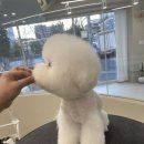 멍개구름 이미지