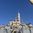 랜드파크 | [LA 여행] 캘리포니아 디즈니랜드 파크 후기