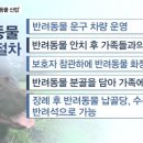 개린이 유치원 이미지