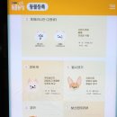 와이펫 네이버블로그