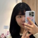 아미블헤어