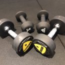 러블리짐 이미지