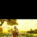 행림초등학교 이미지