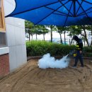 구즉초등학교(병설) 이미지