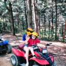 동승농장 이미지