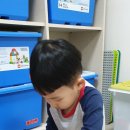 곰에듀케이션