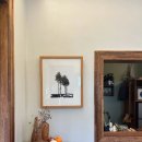 살고정 민박 이미지