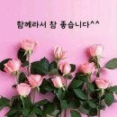 🌻 '우크라의 꽃' 해바라기, 그 밭에서 400만 혈투 이미지