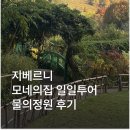 일일이사 | 파리 지베르니 투어 모네의집 포함 파리 일일투어 가격 동선 후기