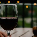 파토리아 이미지