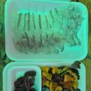 화동수산
