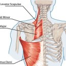 자람한의원 이미지