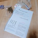 큐베리 - 광진구 능동로49길 20 | 무소음 고양이 캣휠 & 캣타워_ 솔직후기/ 장단점