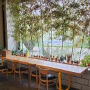 힐링우드 이미지