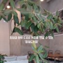 피쿼드커피
