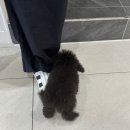 선유아헤어 이미지