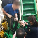 동해-단속-30 이미지