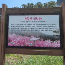 [울산출발] 4월8일(토요일) 창원 천주산 환상의 진달래꽃 산행 + 진해 해양공원 솔라타워 트레킹 이미지