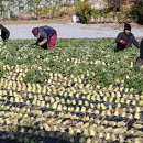 국제버스노동조합 이미지