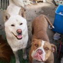 안녕하세요 이미지