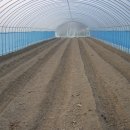 종지농장 이미지